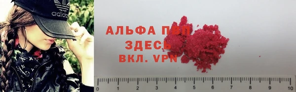 прущие грибы Абдулино